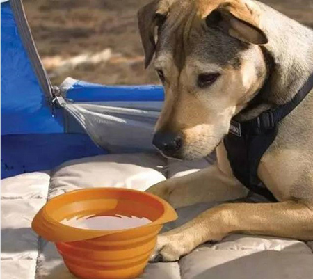 東莞<a href='http://www.jianzhewy.cn/' class='keys' title='點(diǎn)擊查看關(guān)于帝博硅膠制品廠的相關(guān)信息' target='_blank'>帝博硅膠制品廠</a>